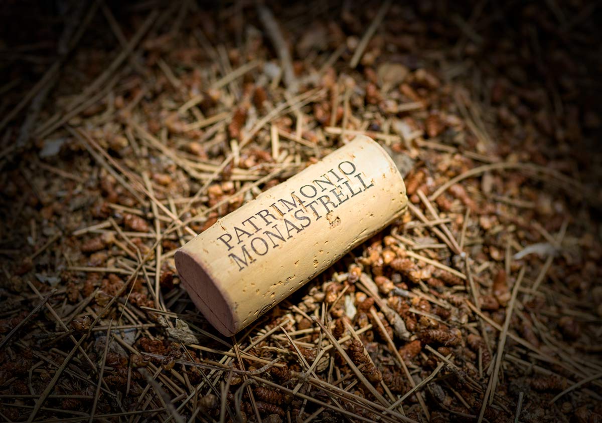 Vinos Alicante monastrell