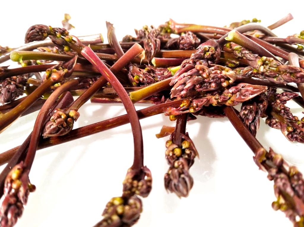 Esparraguín Green Asparagus