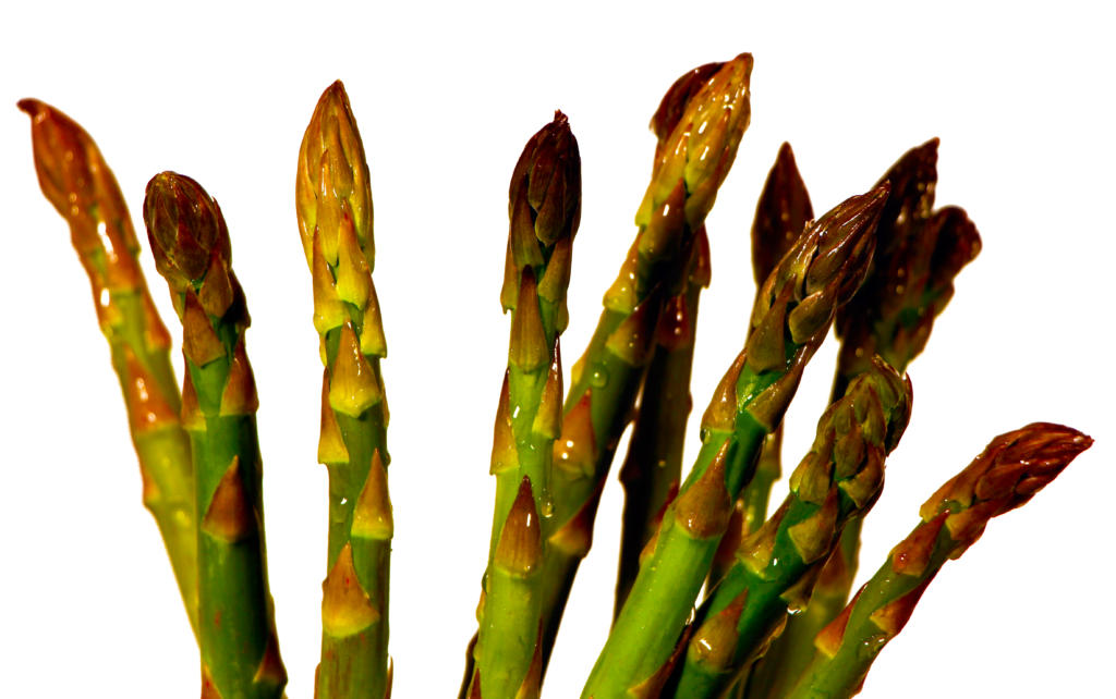 Green Asparagus Espárrago Fino