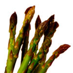 GREEN ASPARAGUS COOP.