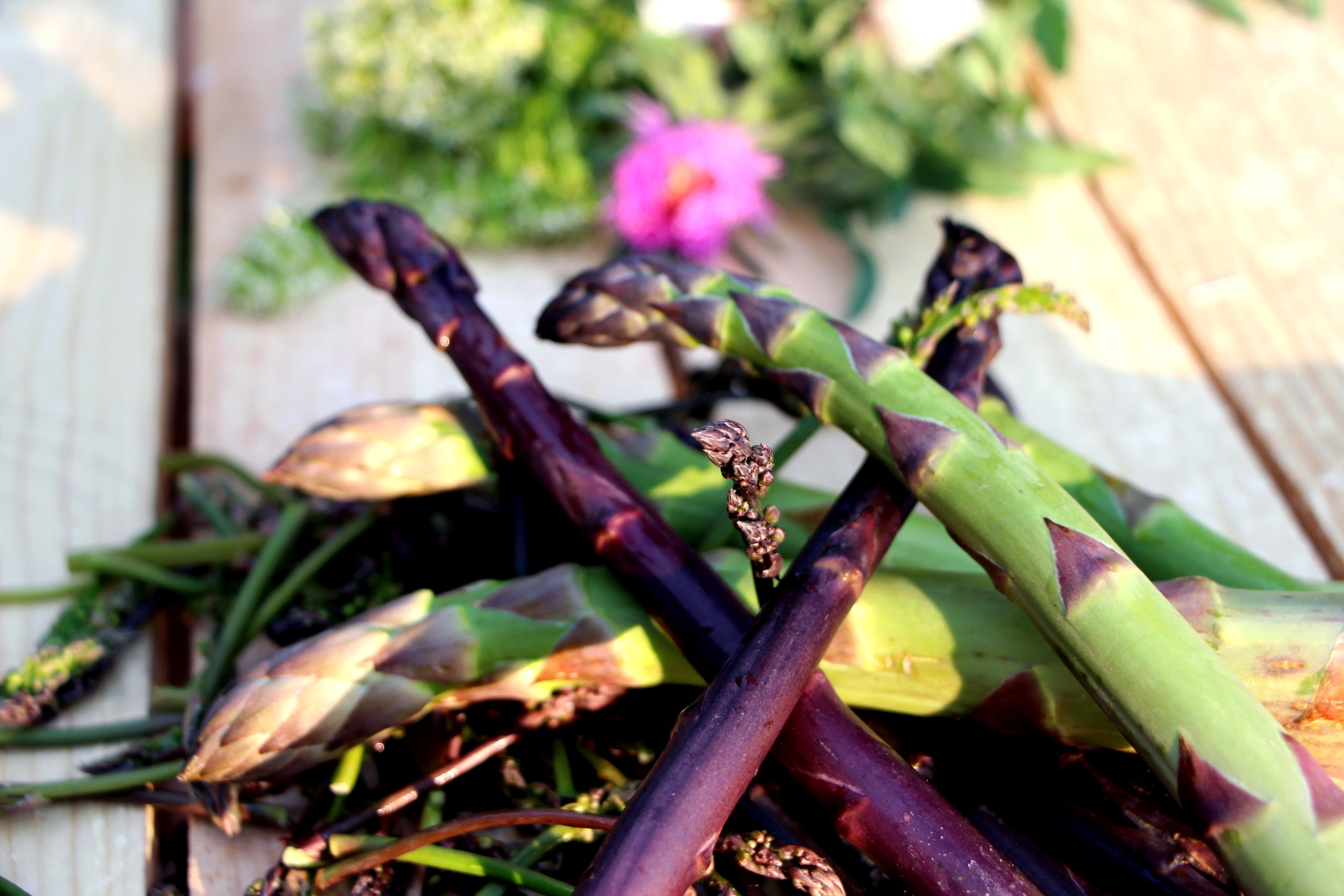 Espárragos de Villena