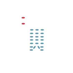 seleccionadora óptica