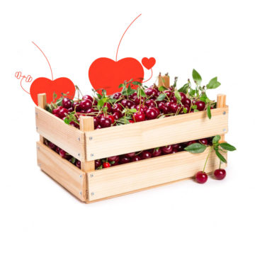 Caja de cerezas IGP Montaña Alicante