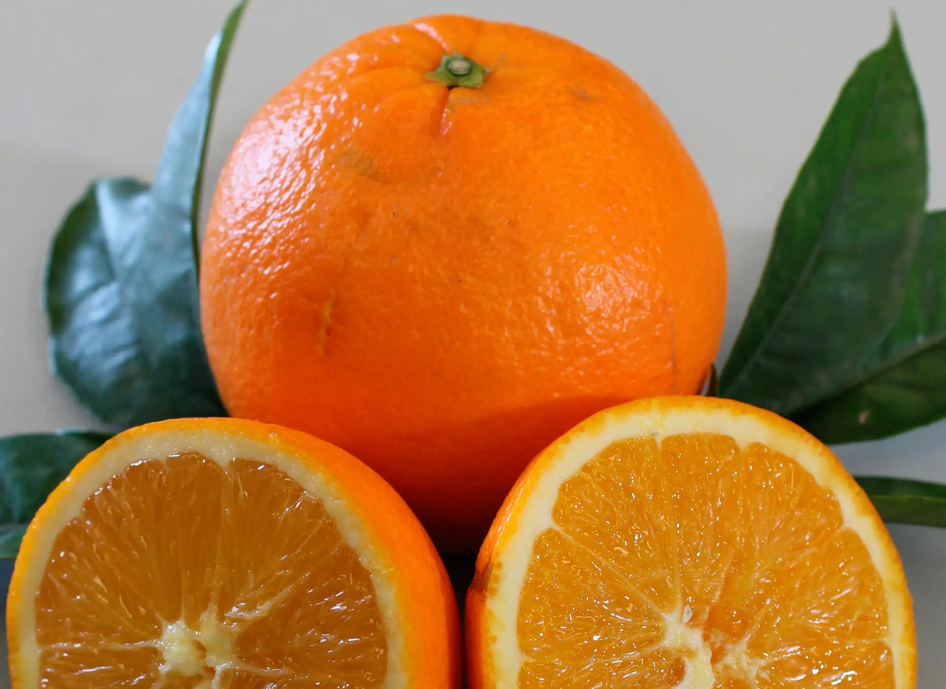 15kg Naranjas Navel Lane Late Dura Naranjas Navel Lane Late Dura 15