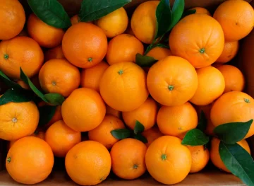 Naranjas Navel Line Nando Durà venta online