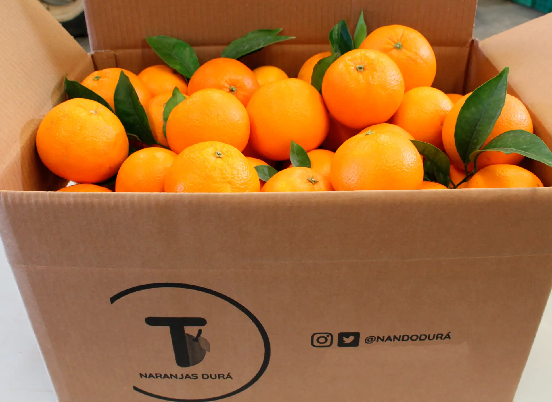 Naranjas Navel Lane Late online NAndo dura naranjas online Navel Lane Late Nando dura