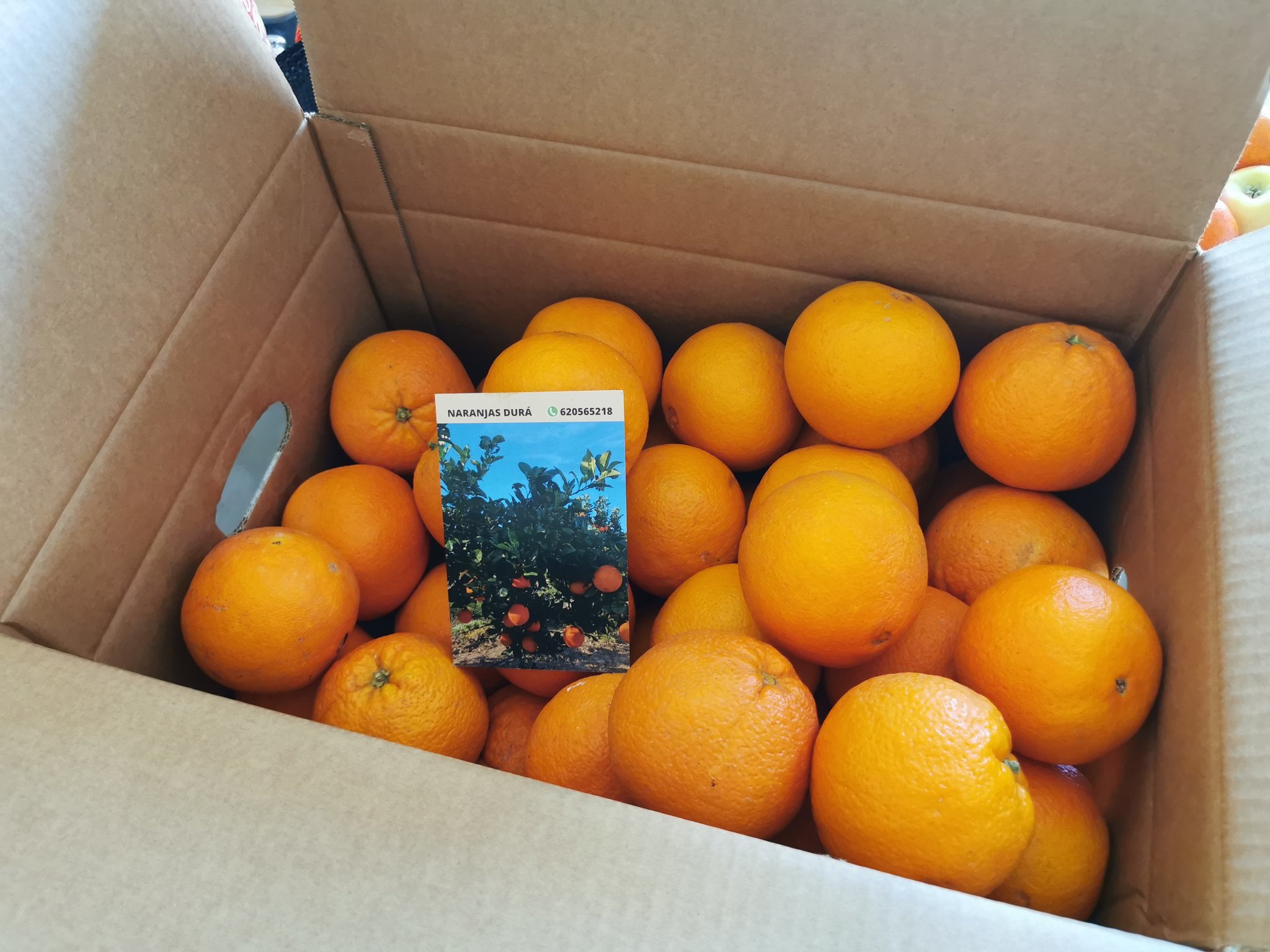 naranjas nando durà