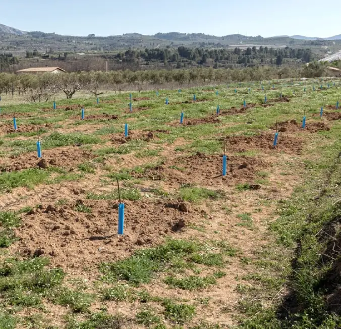 Recuperant bancals oli de filaters