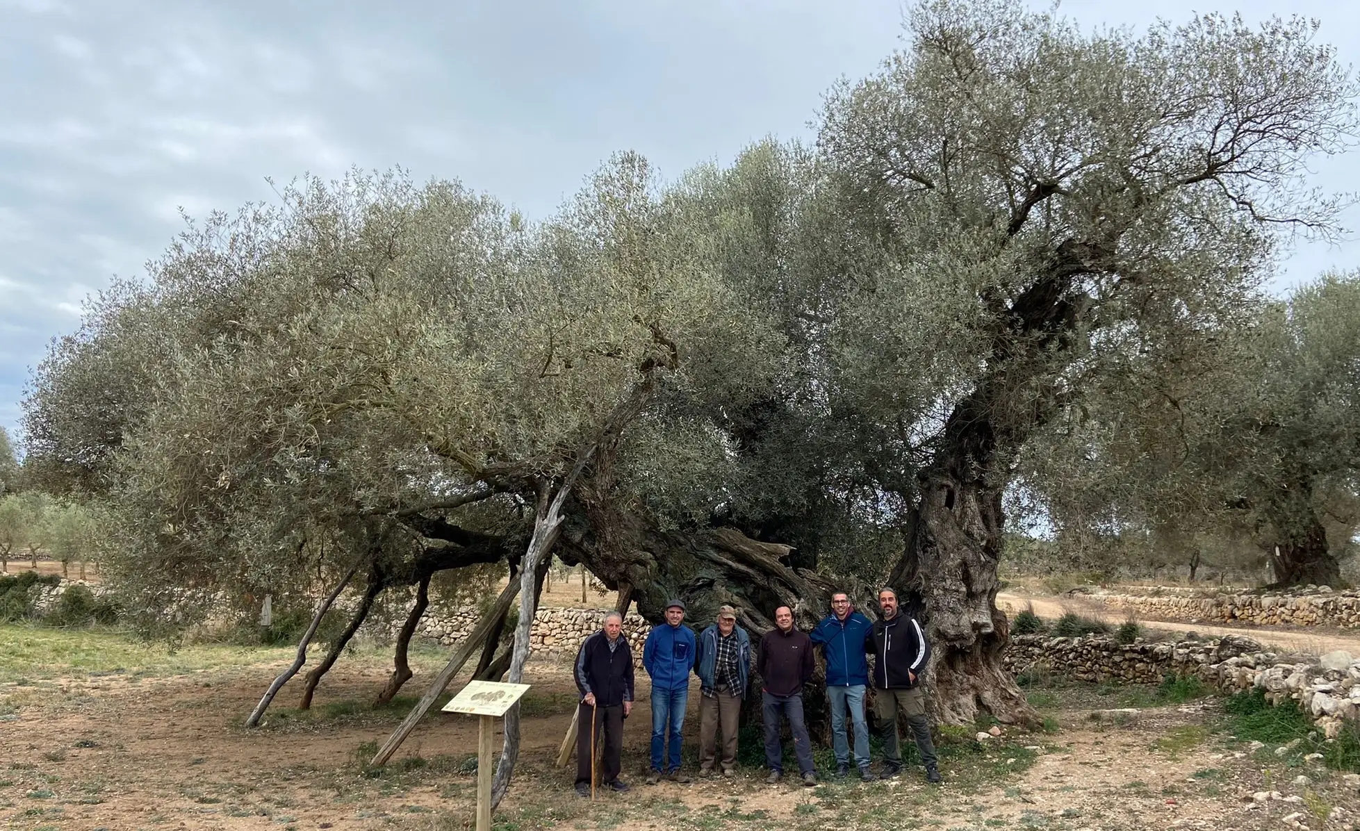 olis cuquello familia