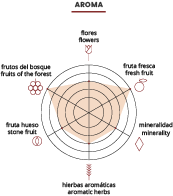 vinalopo-rosado-aroma