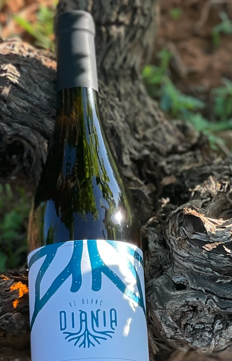 Vi blanc Diània