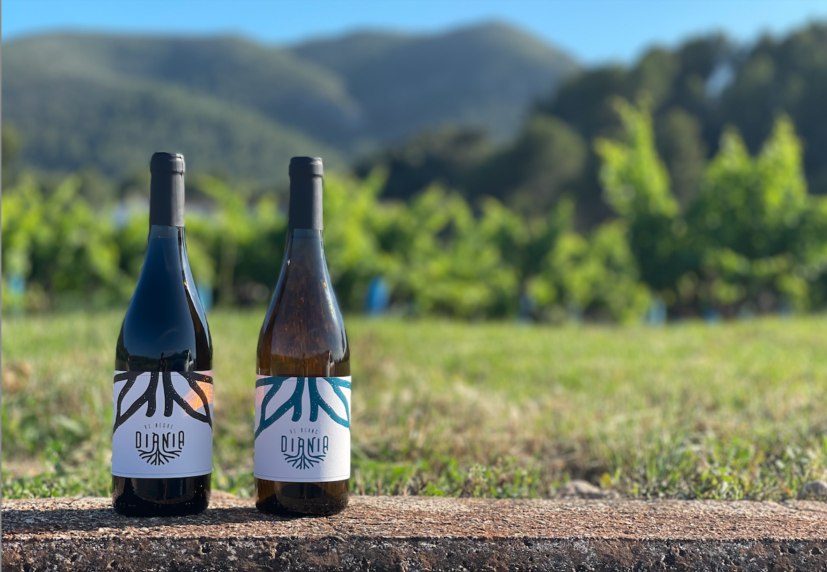 Vins de Diània blanc i negre
