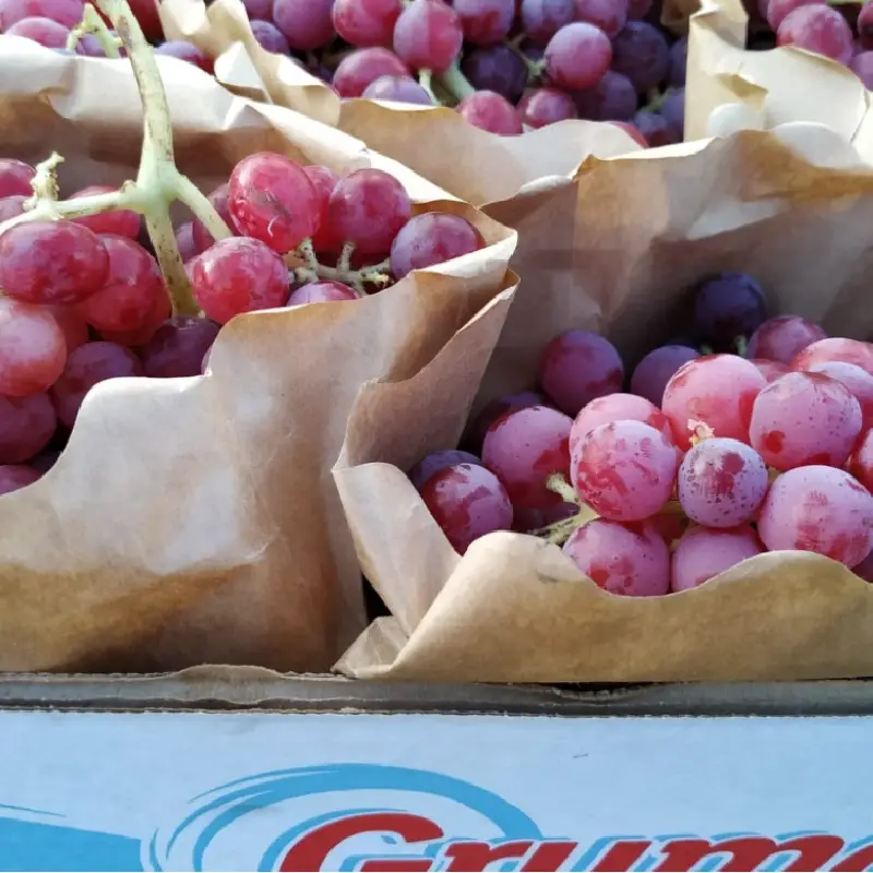 Uva roja embolsada sin semilla caja 4 kg Uva roja embolsada sin semilla caja 4 kg